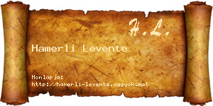 Hamerli Levente névjegykártya
